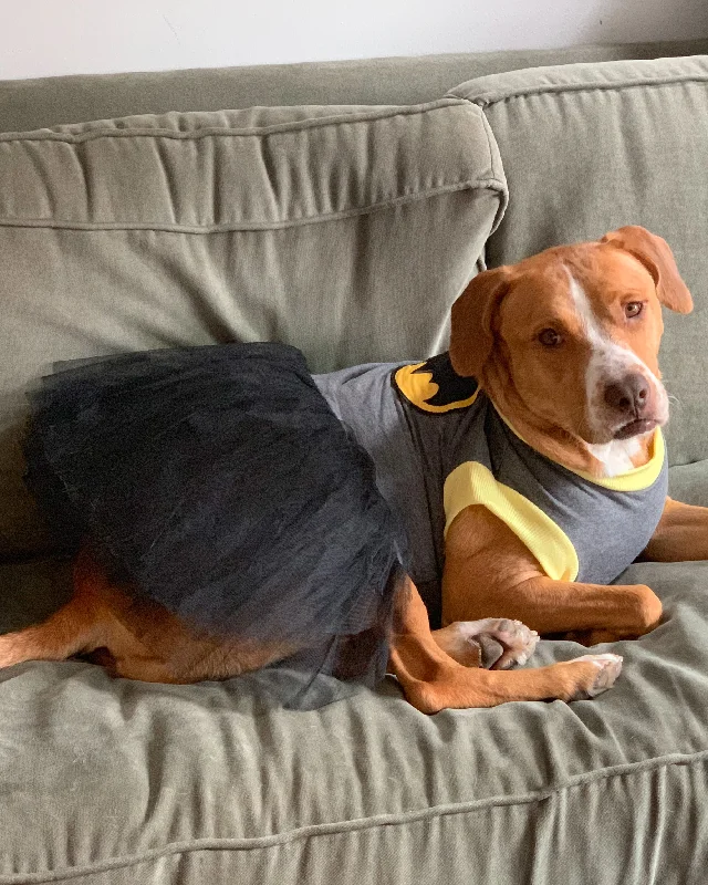 Halloween Batgirl Dog Costume