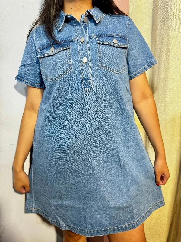 roseyn denim dress